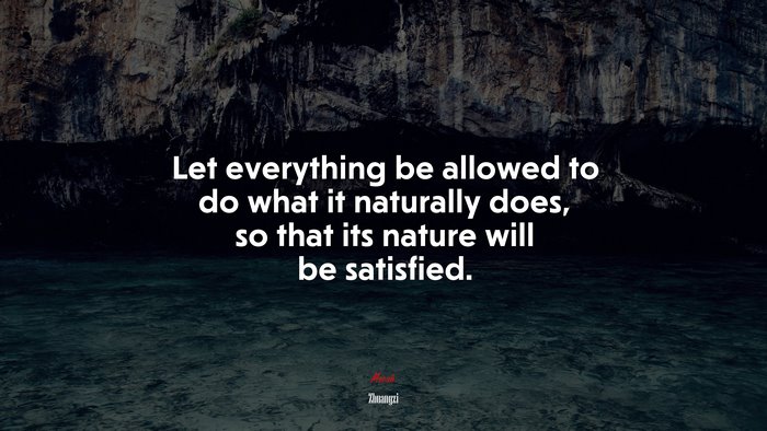 Let everything be allowed to do what it naturally does, so that its nature will be satisfied. | Zhuangzi quote