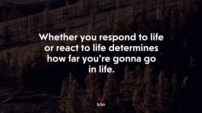 Whether you respond to life or react to life determines how far you’re gonna go in life. | Zig Ziglar quote