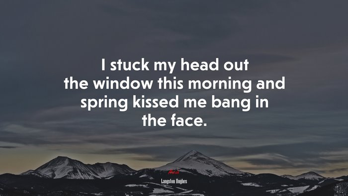 I stuck my head out the window this morning and spring kissed me bang in the face. | Langston Hughes quote