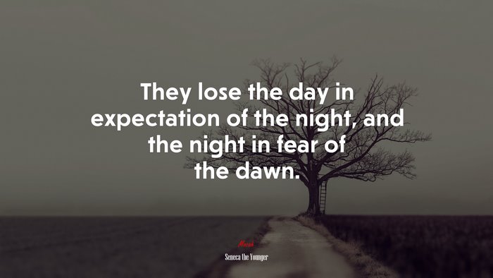 They lose the day in expectation of the night, and the night in fear of the dawn. | Seneca the Younger quote
