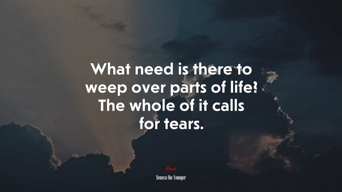 What need is there to weep over parts of life? The whole of it calls for tears. | Seneca the Younger quote
