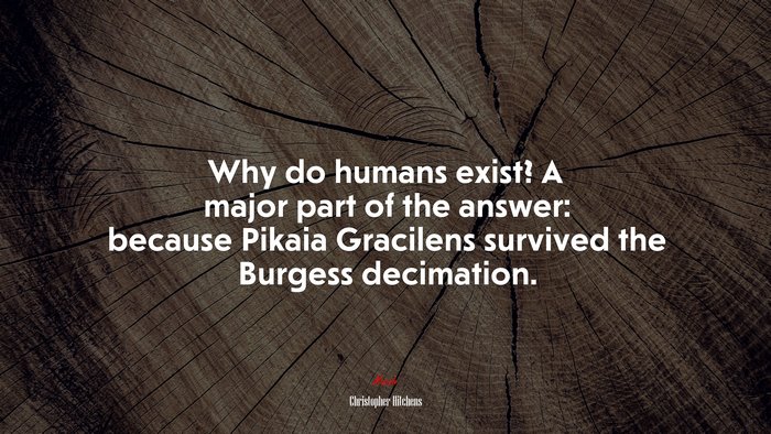 Why do humans exist? A major part of the answer: because Pikaia Gracilens survived the Burgess decimation. | Christopher Hitchens quote