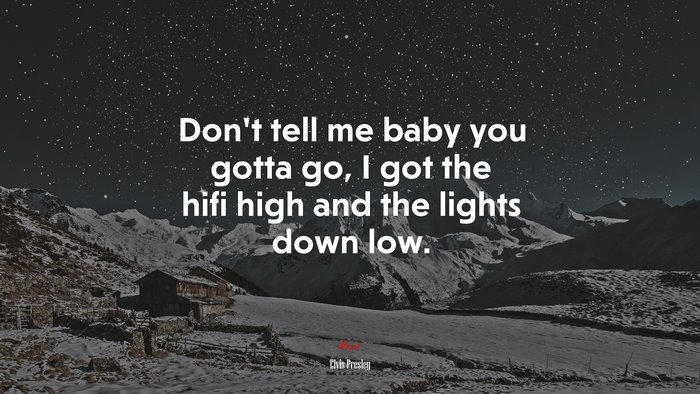 Don’t tell me baby you gotta go, I got the hifi high and the lights down low. | Elvis Presley quote