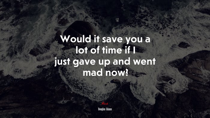 Would it save you a lot of time if I just gave up and went mad now? | Douglas Adams quote