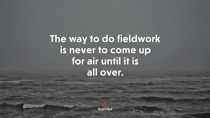 The way to do fieldwork is never to come up for air until it is all over. | Margaret Mead quote