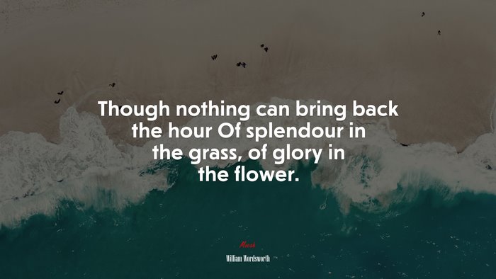 Though nothing can bring back the hour Of splendour in the grass, of glory in the flower. | William Wordsworth quote