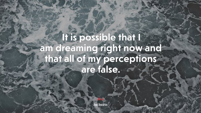It is possible that I am dreaming right now and that all of my perceptions are false. | René Descartes quote