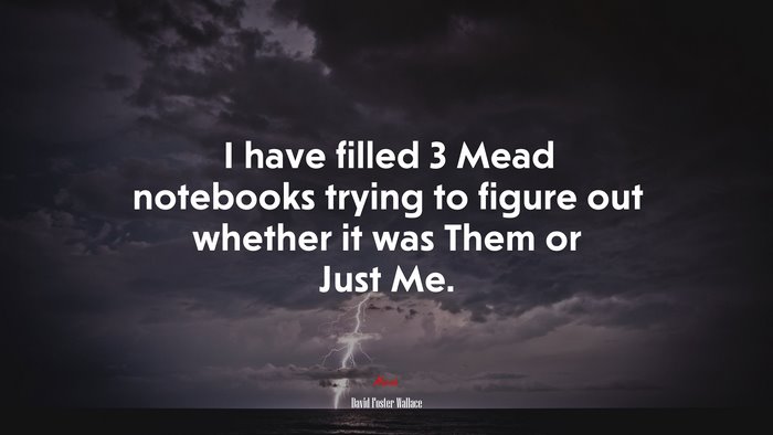 I have filled 3 Mead notebooks trying to figure out whether it was Them or Just Me. | David Foster Wallace quote