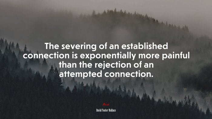 The severing of an established connection is exponentially more painful than the rejection of an attempted connection. | David Foster Wallace quote