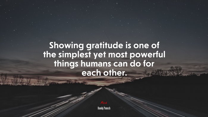 Showing gratitude is one of the simplest yet most powerful things humans can do for each other. | Randy Pausch quote