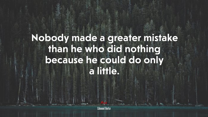 Nobody made a greater mistake than he who did nothing because he could do only a little. | Edmund Burke quote