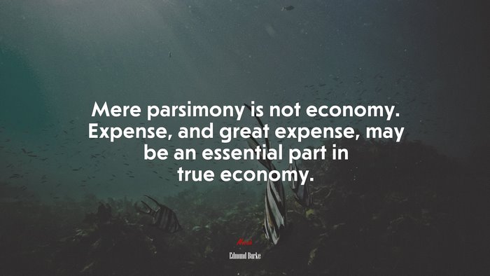 Mere parsimony is not economy. Expense, and great expense, may be an essential part in true economy. | Edmund Burke quote
