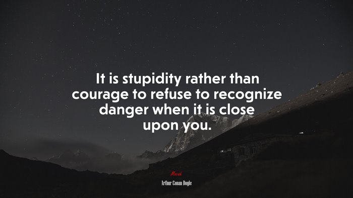 It is stupidity rather than courage to refuse to recognize danger when it is close upon you. | Arthur Conan Doyle quote