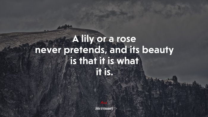 A lily or a rose never pretends, and its beauty is that it is what it is. | Jiddu Krishnamurti quote