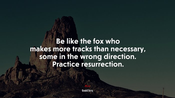Be like the fox who makes more tracks than necessary, some in the wrong direction. Practice resurrection. | Wendell Berry quote