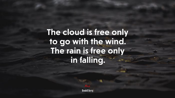 The cloud is free only to go with the wind. The rain is free only in falling. | Wendell Berry quote