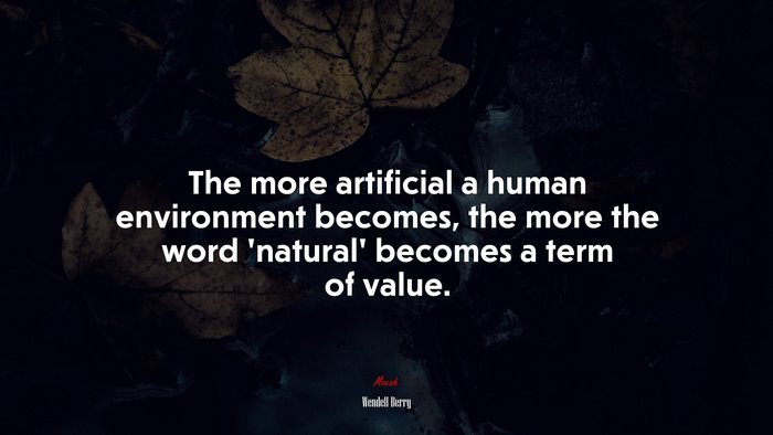 The more artificial a human environment becomes, the more the word ‘natural’ becomes a term of value. | Wendell Berry quote