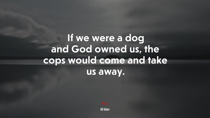 If we were a dog and God owned us, the cops would come and take us away. | Bill Maher quote