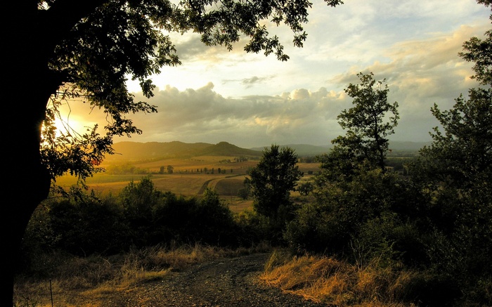 Sunset over rolling hills with trees in foreground