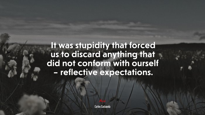 It was stupidity that forced us to discard anything that did not conform with ourself – reflective expectations. | Carlos Castaneda quote