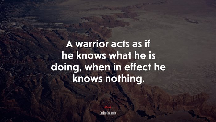 A warrior acts as if he knows what he is doing, when in effect he knows nothing. | Carlos Castaneda quote