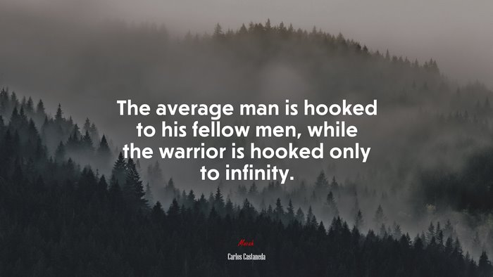 The average man is hooked to his fellow men, while the warrior is hooked only to infinity. | Carlos Castaneda quote