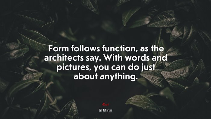 Form follows function, as the architects say. With words and pictures, you can do just about anything. | Bill Watterson quote