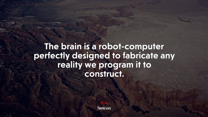 The brain is a robot-computer perfectly designed to fabricate any reality we program it to construct. | Timothy Leary quote