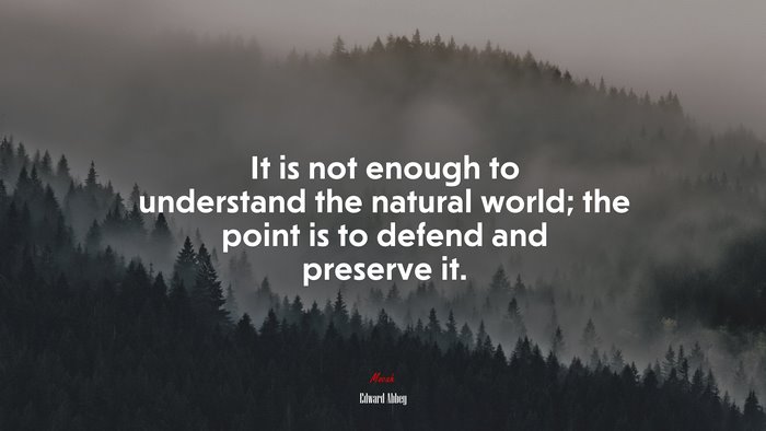 It is not enough to understand the natural world; the point is to defend and preserve it. | Edward Abbey quote