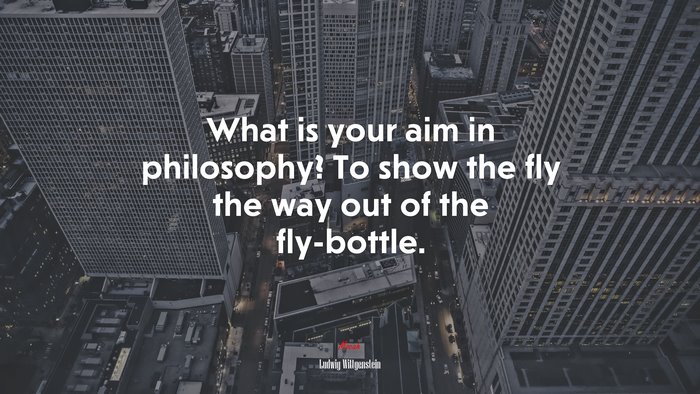 What is your aim in philosophy? To show the fly the way out of the fly-bottle. | Ludwig Wittgenstein quote