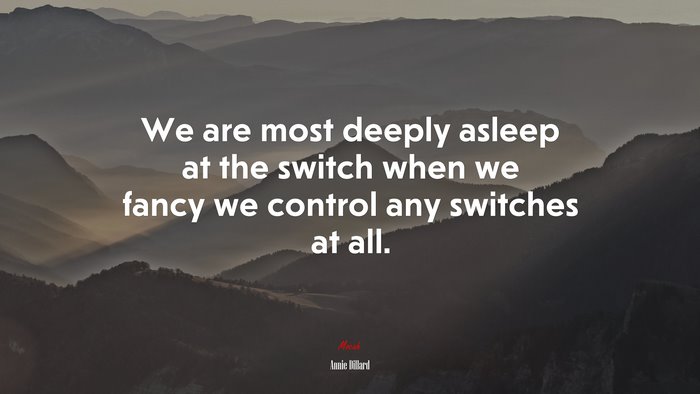 We are most deeply asleep at the switch when we fancy we control any switches at all. | Annie Dillard quote