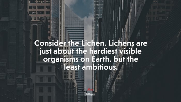 Consider the Lichen. Lichens are just about the hardiest visible organisms on Earth, but the least ambitious. | Bill Bryson quote