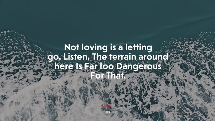 Not loving is a letting go. Listen, The terrain around here Is Far too Dangerous For That. | Hafez quote