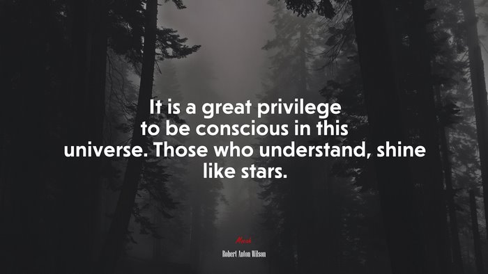 It is a great privilege to be conscious in this universe. Those who understand, shine like stars. | Robert Anton Wilson quote