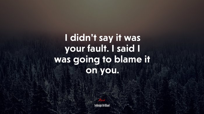 I didn’t say it was your fault. I said I was going to blame it on you. | Ashleigh Brilliant quote