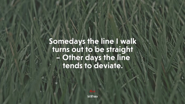 Somedays the line I walk turns out to be straight – Other days the line tends to deviate. | Ani DiFranco quote