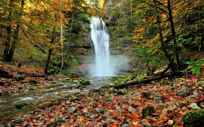 Waterfall in an autumn forest with a stream