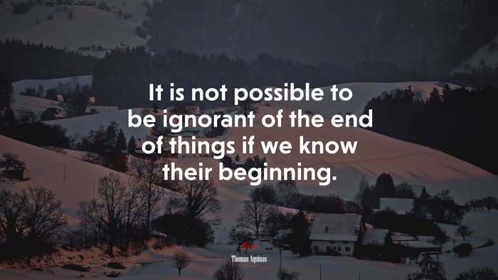 It is not possible to be ignorant of the end of things if we know their beginning. | Thomas Aquinas quote