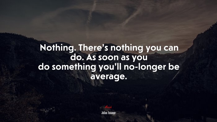 Nothing. There’s nothing you can do. As soon as you do something you’ll no-longer be average. | Julian Assange quote