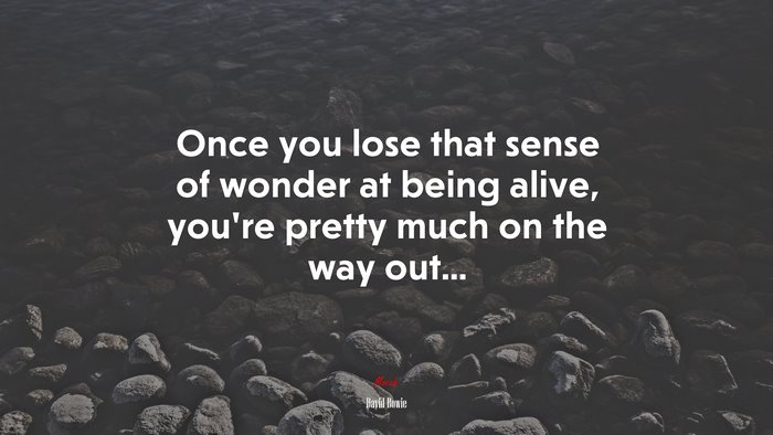 Once you lose that sense of wonder at being alive, you’re pretty much on the way out... | David Bowie quote