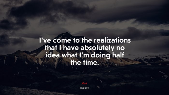 I’ve come to the realizations that I have absolutely no idea what I’m doing half the time. | David Bowie quote