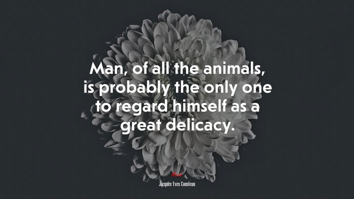 Man, of all the animals, is probably the only one to regard himself as a great delicacy. | Jacques-Yves Cousteau quote