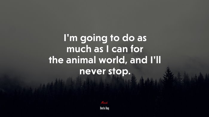 I’m going to do as much as I can for the animal world, and I’ll never stop. | Doris Day quote