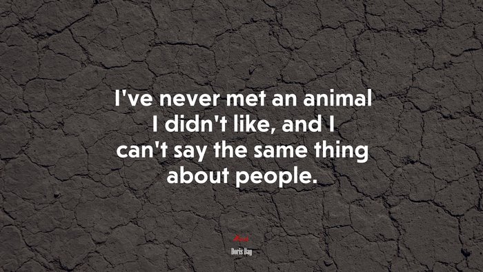 I’ve never met an animal I didn’t like, and I can’t say the same thing about people. | Doris Day quote