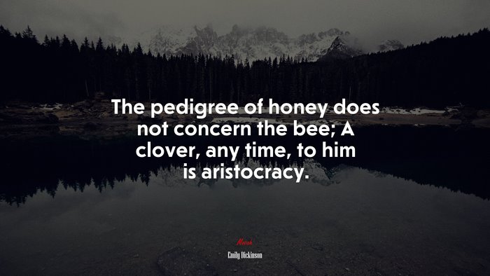 The pedigree of honey does not concern the bee; A clover, any time, to him is aristocracy. | Emily Dickinson quote