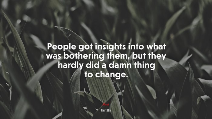 People got insights into what was bothering them, but they hardly did a damn thing to change. | Albert Ellis quote