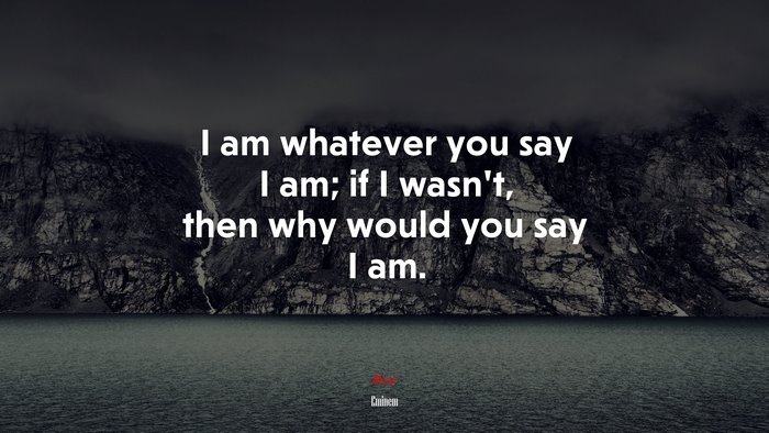I am whatever you say I am; if I wasn’t, then why would you say I am. | Eminem quote