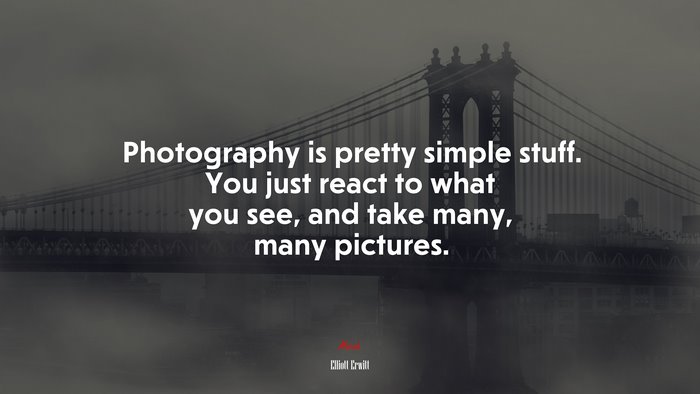 Photography is pretty simple stuff. You just react to what you see, and take many, many pictures. | Elliott Erwitt quote