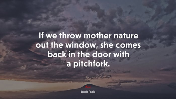 If we throw mother nature out the window, she comes back in the door with a pitchfork. | Masanobu Fukuoka quote