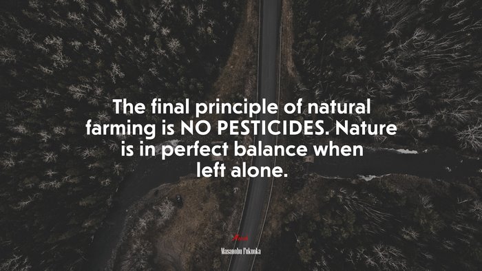 The final principle of natural farming is NO PESTICIDES. Nature is in perfect balance when left alone. | Masanobu Fukuoka quote